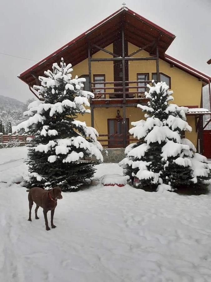Vila Coman Întorsura Buzăului Bagian luar foto